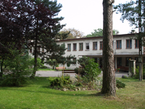 zdjęcie 35