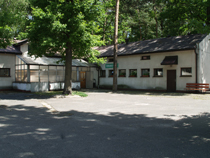 zdjęcie 5