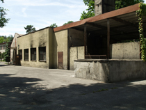 zdjęcie 6