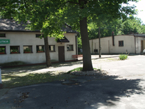 zdjęcie 8