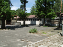 zdjęcie 10