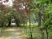 zdjęcie 37