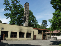 zdjęcie 12