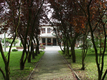 zdjęcie 38