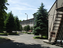 zdjęcie 22