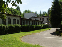 zdjęcie 24
