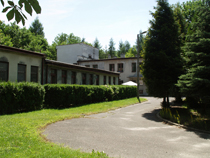 zdjęcie 25