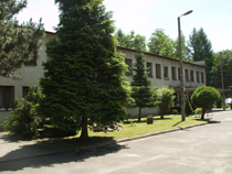 zdjęcie 28