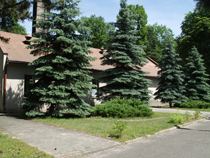 zdjęcie 29