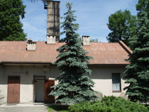 zdjęcie 30