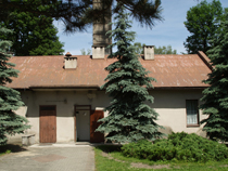 zdjęcie 31